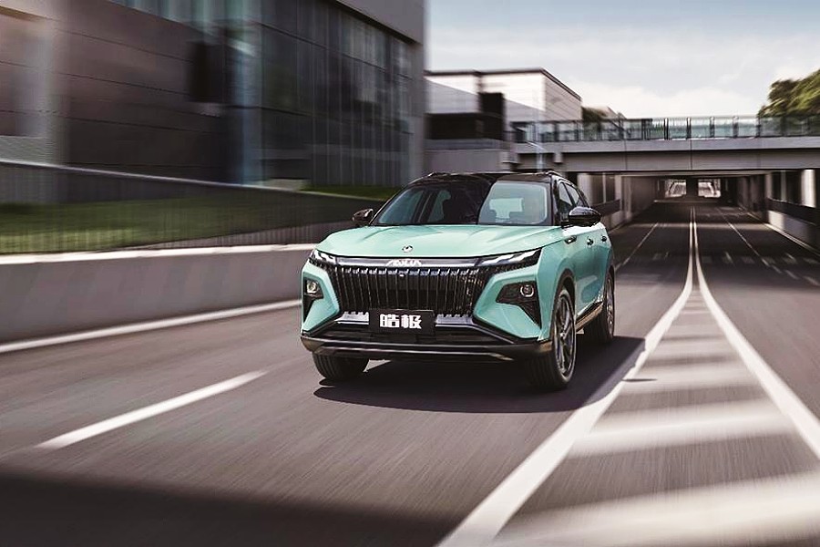 й(304am-VIP֤)-Official Platform